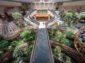 The Need for Green Hospitality